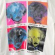 画像2: 90s USA製 EINSTEIN TEE SHIRT (2)