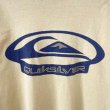 画像4: 90s USA製 QUIK SILVER TEE SHIRT (4)