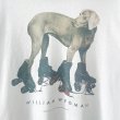 画像2: 90s USA製 WILLIAM WEGMAN TEE SHIRT (2)