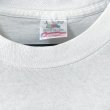 画像5: 90s USA製 WILLIAM WEGMAN TEE SHIRT (5)