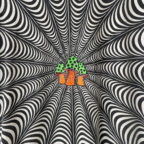 画像3: 90s USA製 MAGIC MASHROOM TEE SHIRT (3)