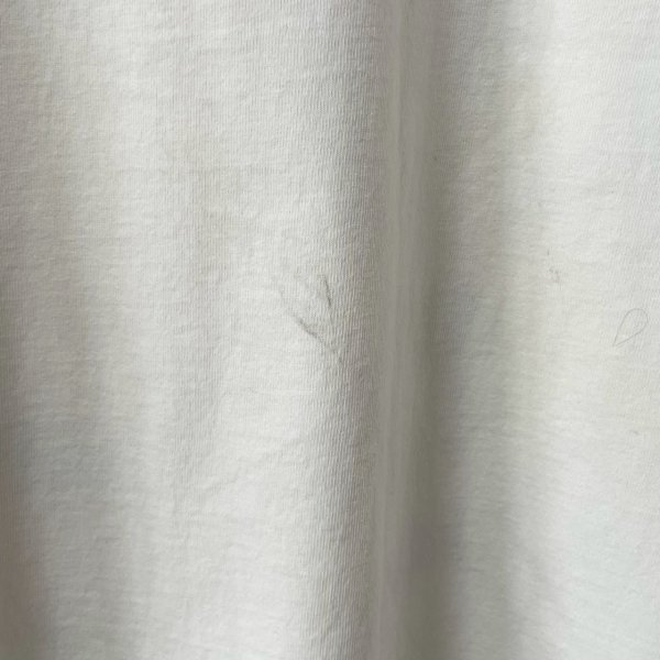 画像7: 90s USA製 USPS INCECT TEE SHIRT (7)