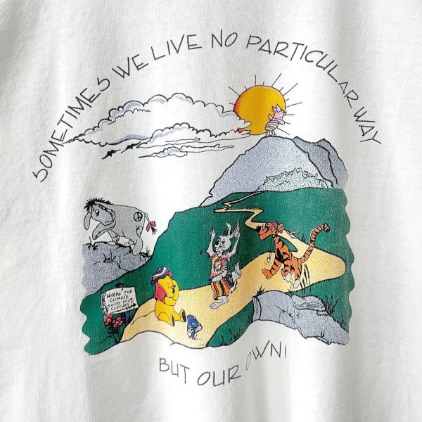 画像4: 90s USA製 ALLSTAR PARKING ROT TEST PRINT TEE SHIRT (4)