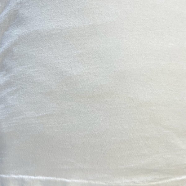 画像10: 90s USA製 MTV VIDEO MUSIC AWARD TEE SHIRT (10)